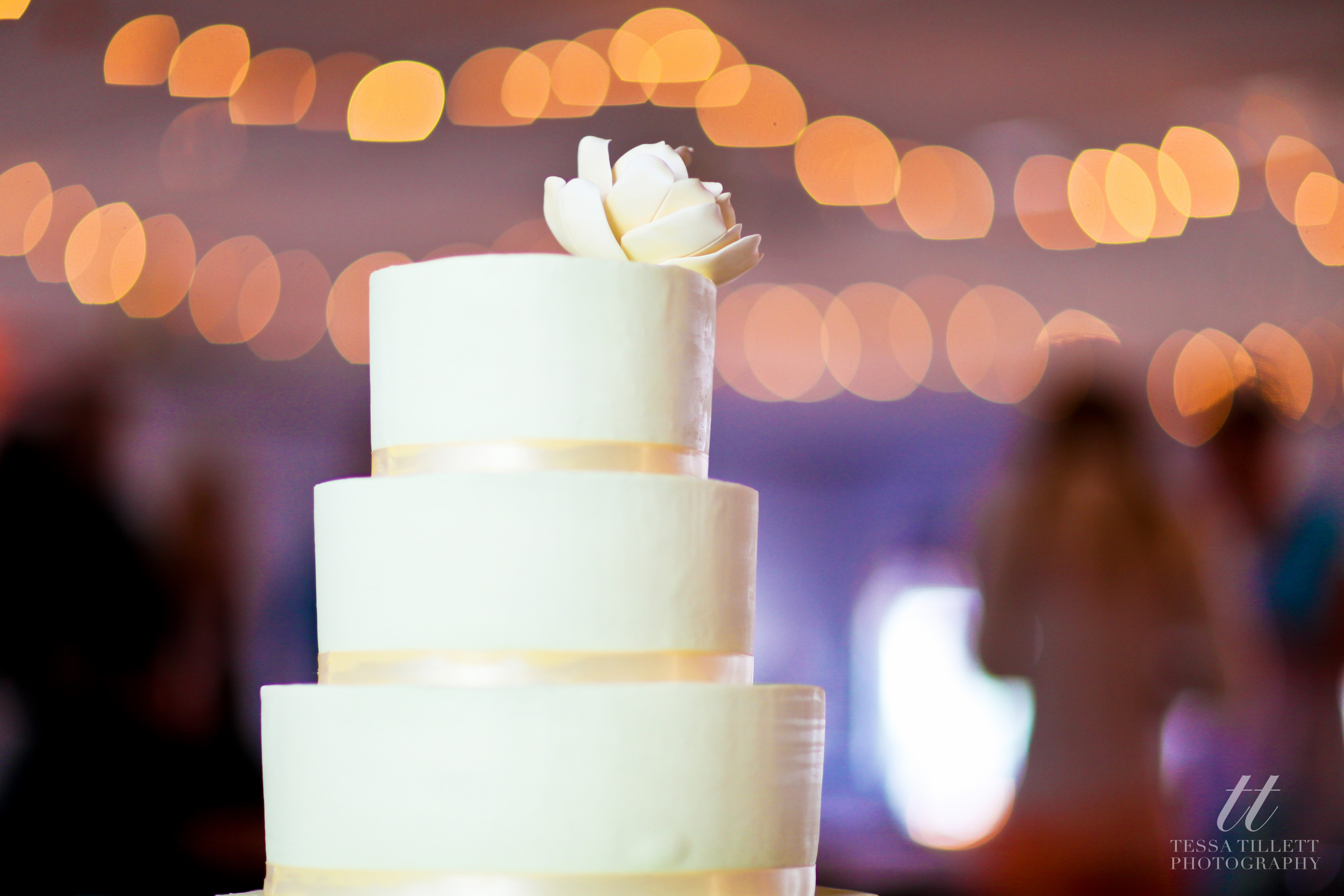 Tessa Tillett Photography (6 of 25)