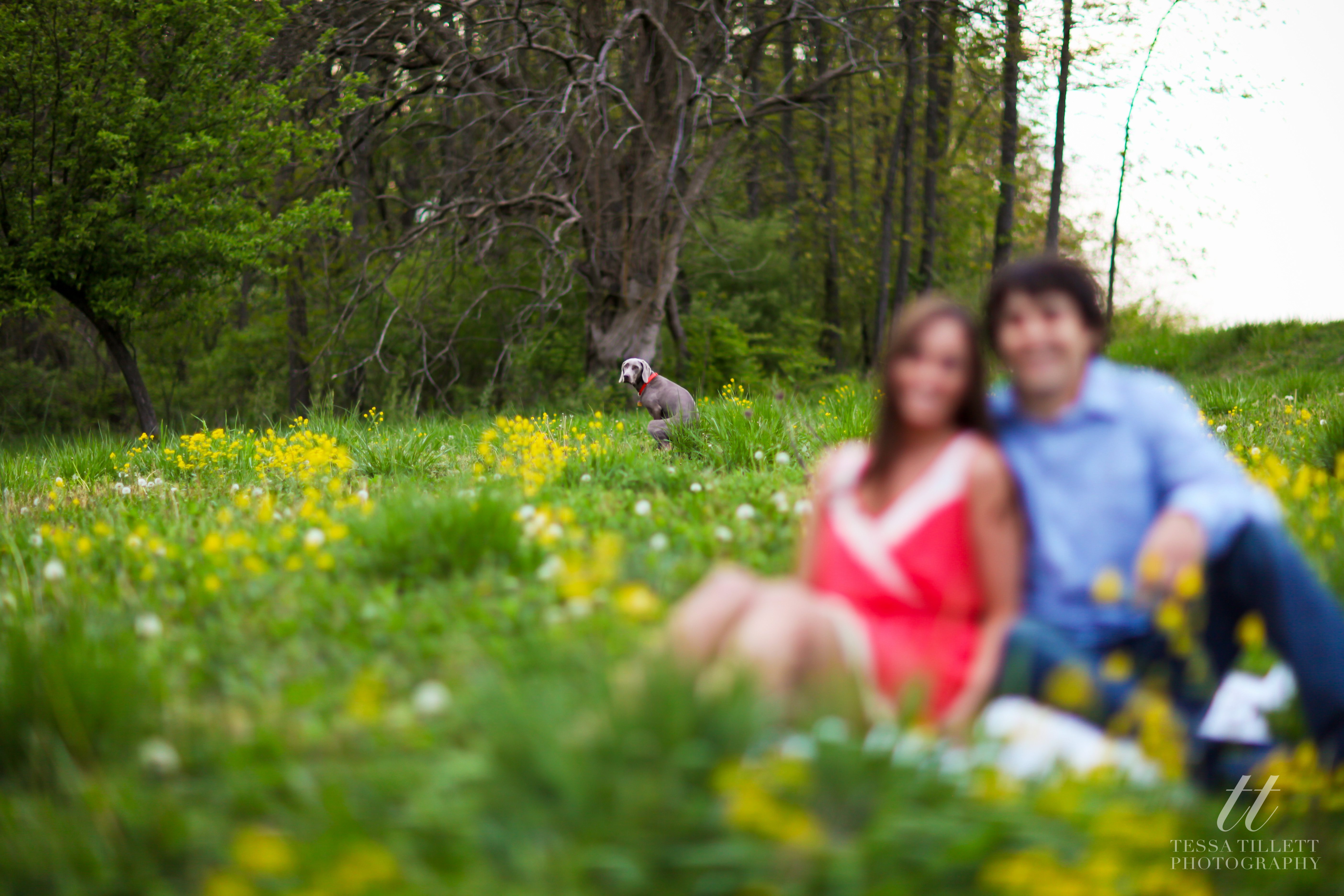 Tessa Tillett Photography (32 of 41)