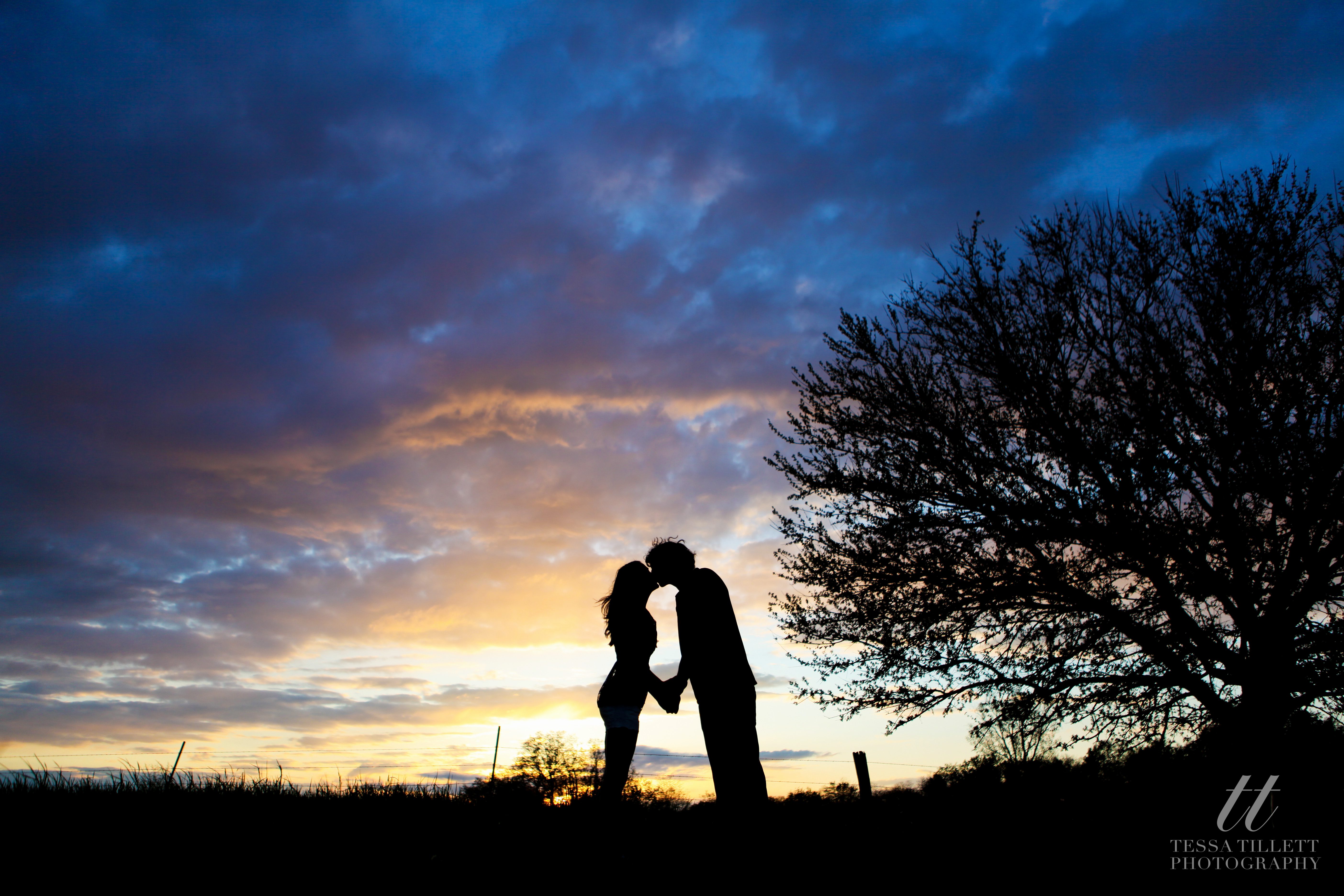 Tessa Tillett Photography (36 of 41)