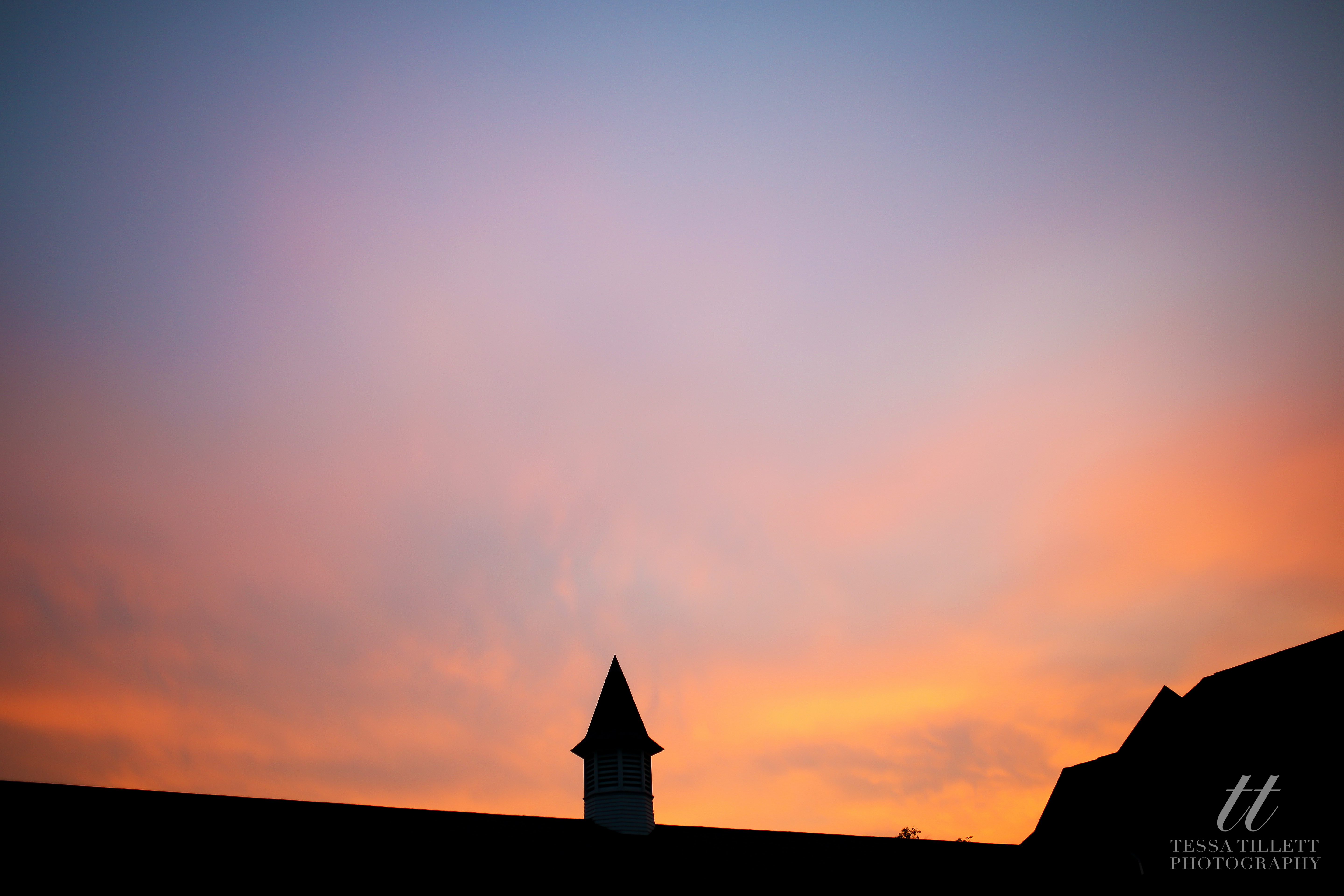 Tessa Tillett Photography (112 of 112)