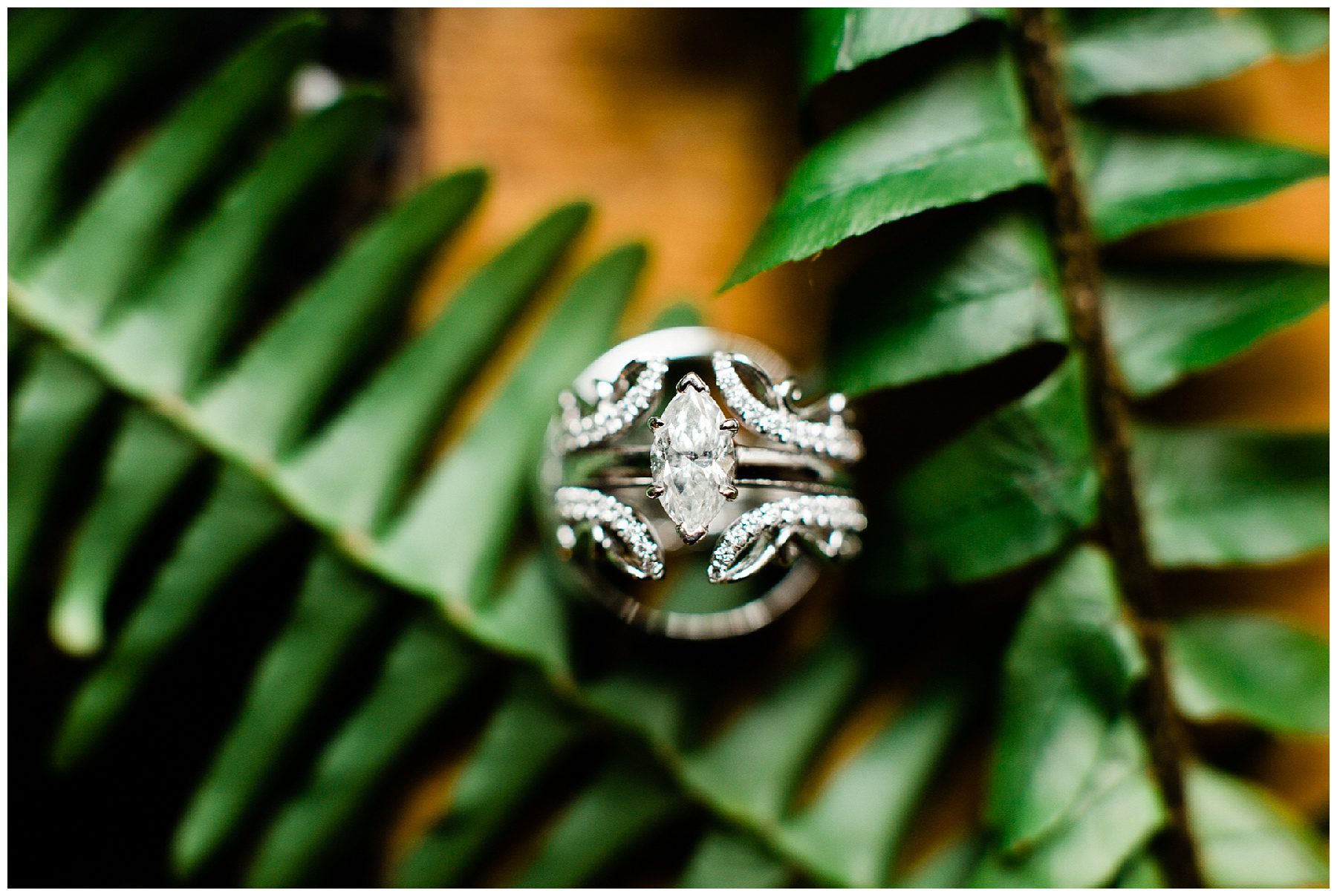 TessaTillettRobbinsPhotography_weddingphotography_2792.jpg